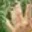 Rostro 2