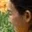 Rostro 2
