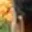 Rostro 2