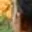 Rostro 2