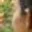 Rostro 2
