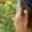Rostro 3
