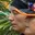 Rostro 1