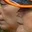 Rostro 2