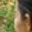 Rostro 2