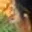 Rostro 4