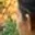 Rostro 2