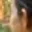 Rostro 2