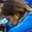 Rostro 3