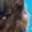 Rostro 2