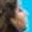 Rostro 4