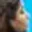 Rostro 5