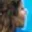 Rostro 3