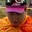 Rostro 1