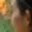 Rostro 3