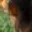 Rostro 2