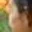 Rostro 3