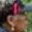 Rostro 2