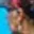 Rostro 3