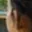 Rostro 2