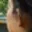 Rostro 2