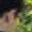 Rostro 6