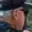 Rostro 2