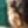 Rostro 2