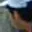 Rostro 5