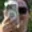 Rostro 3