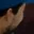 Rostro 2