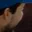 Rostro 2