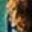 Rostro 2