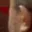 Rostro 1