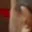 Rostro 3