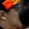 Rostro 1
