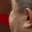 Rostro 1