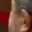 Rostro 1