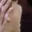 Rostro 4