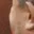 Rostro 6