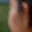 Rostro 3