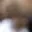 Rostro 7