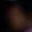 Rostro 6