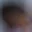 Rostro 4