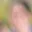 Rostro 5