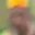 Rostro 3