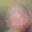 Rostro 5