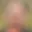 Rostro 3