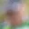 Rostro 4
