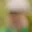Rostro 2